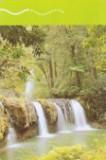 Yellow Water